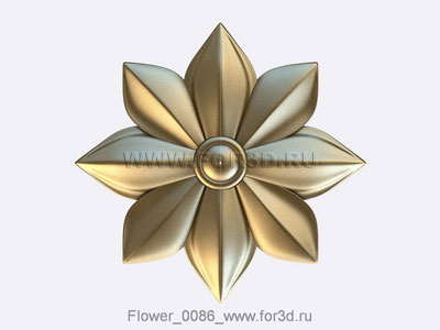 Flower 0086