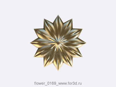 Flower 0169