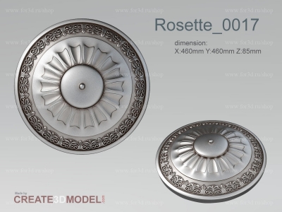 Rosette 0017