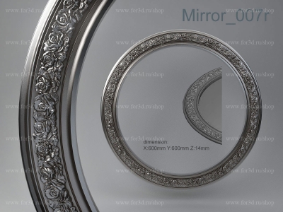 Mirror 007r