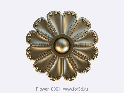 Flower 0091