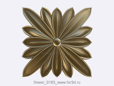 Flower 0163