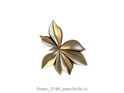 Flower 0184