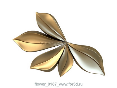 Flower 0187