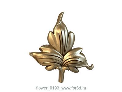 Flower 0193